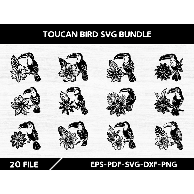 Toucan Bird Svg Bundle 0