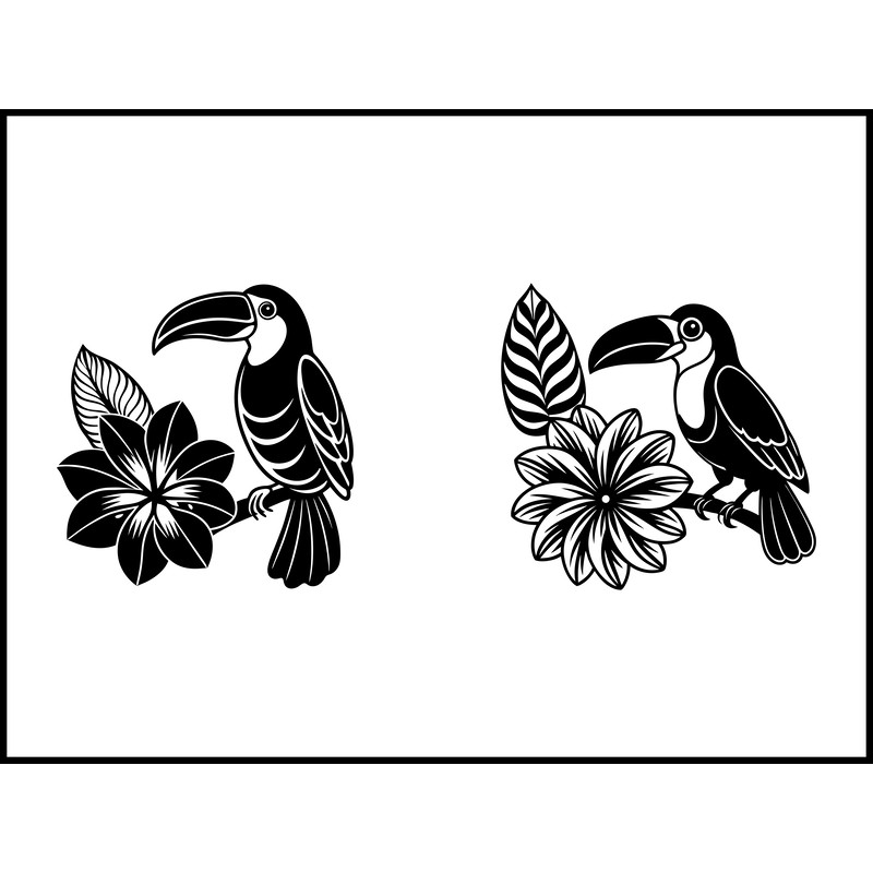 Toucan Bird Svg Bundle 2