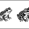 Sweet Froggie SVG Bundle 2
