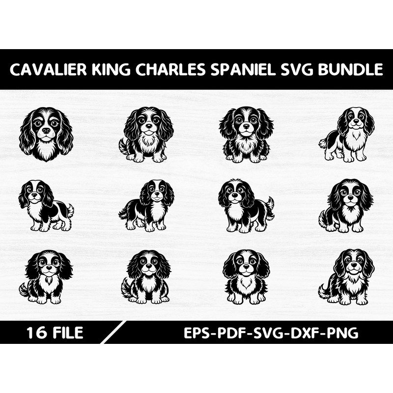 Cavalier King Charles Spaniel SVG Bundle 0