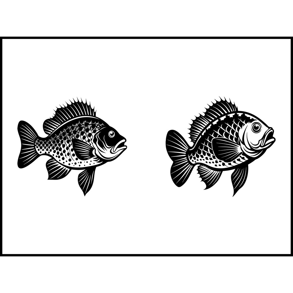 Crappie Bluegill Panfish Sunfish Bass SVG Bundle 2