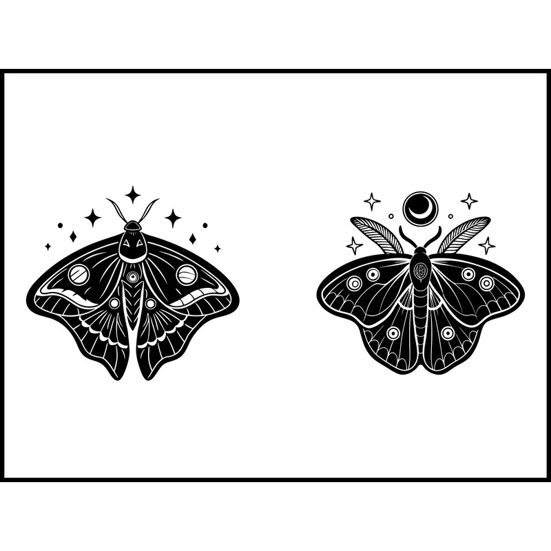 Luna Moth Svg Bundle 2