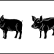 Pig SVG Bundle 2