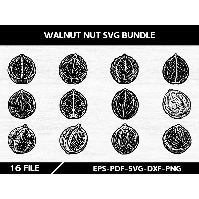 Walnut Nut Svg Bundle 0