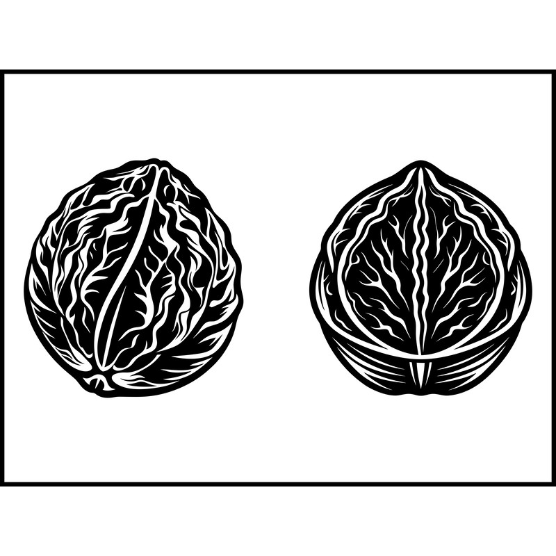 Walnut Nut Svg Bundle 2
