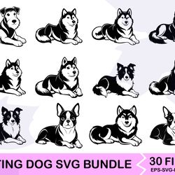 sitting dog svg bundle 21