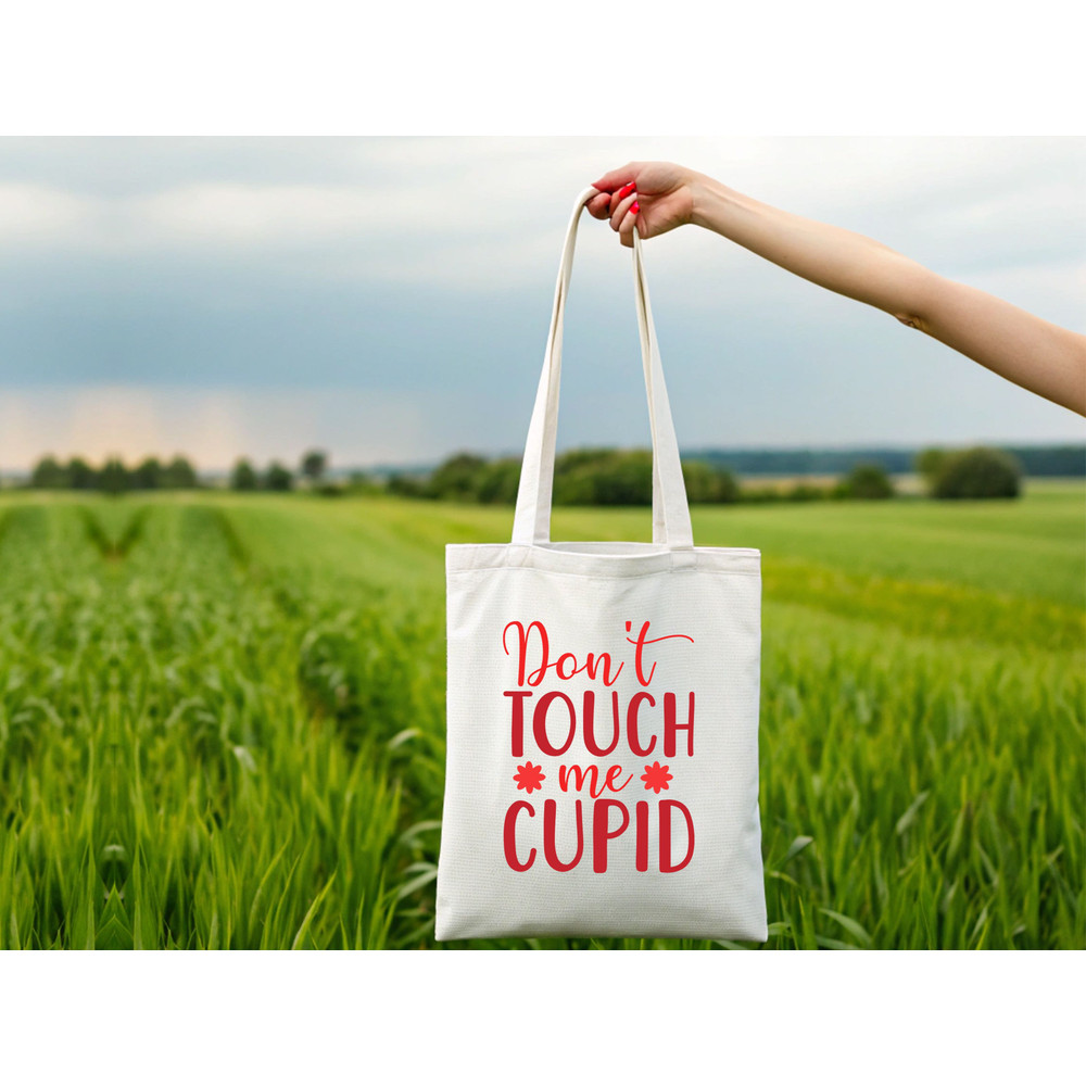 Dont Touch Me Cupid 1