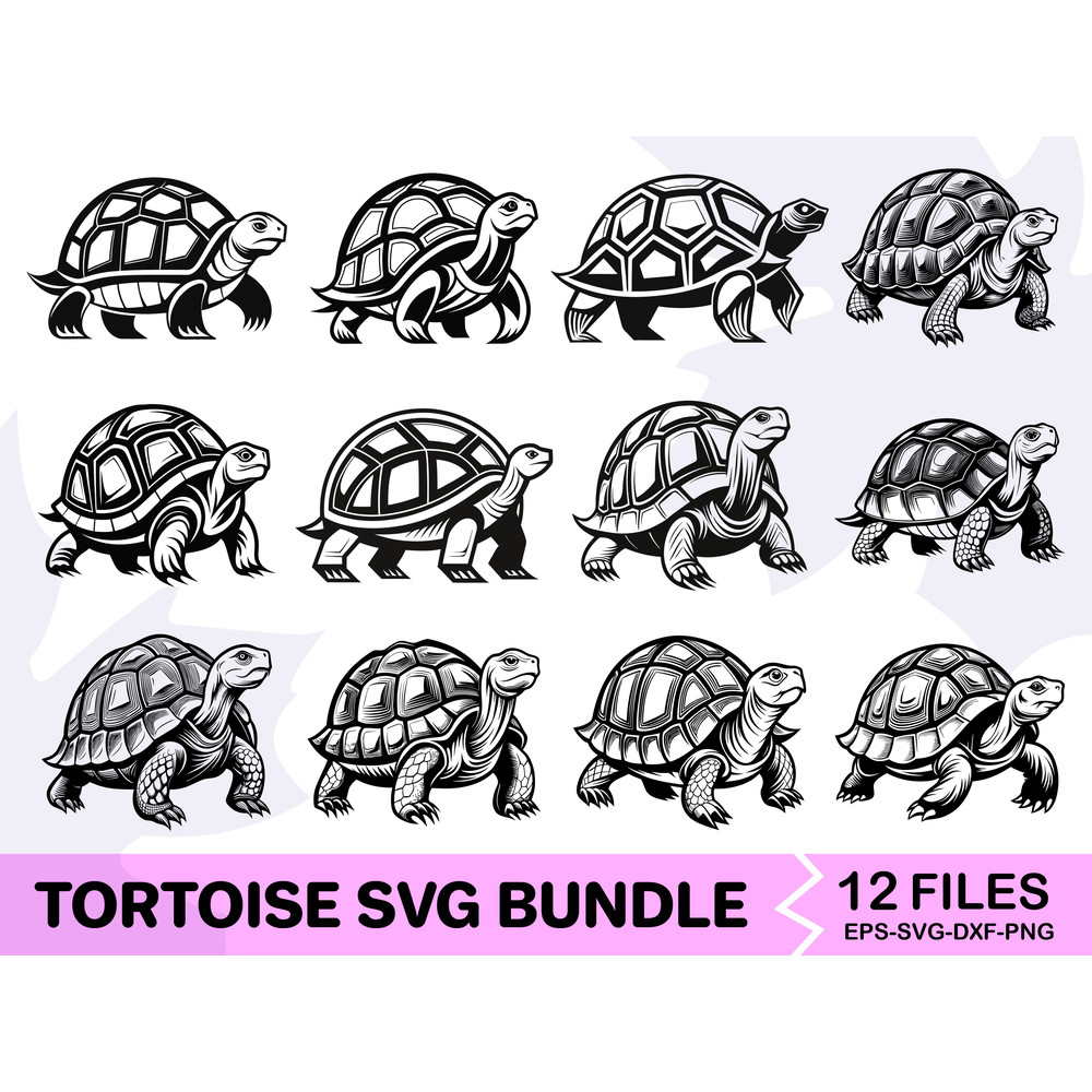 Tortoise SVG Bundle 0