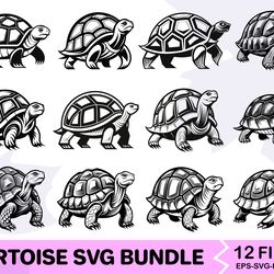 tortoise svg bundle