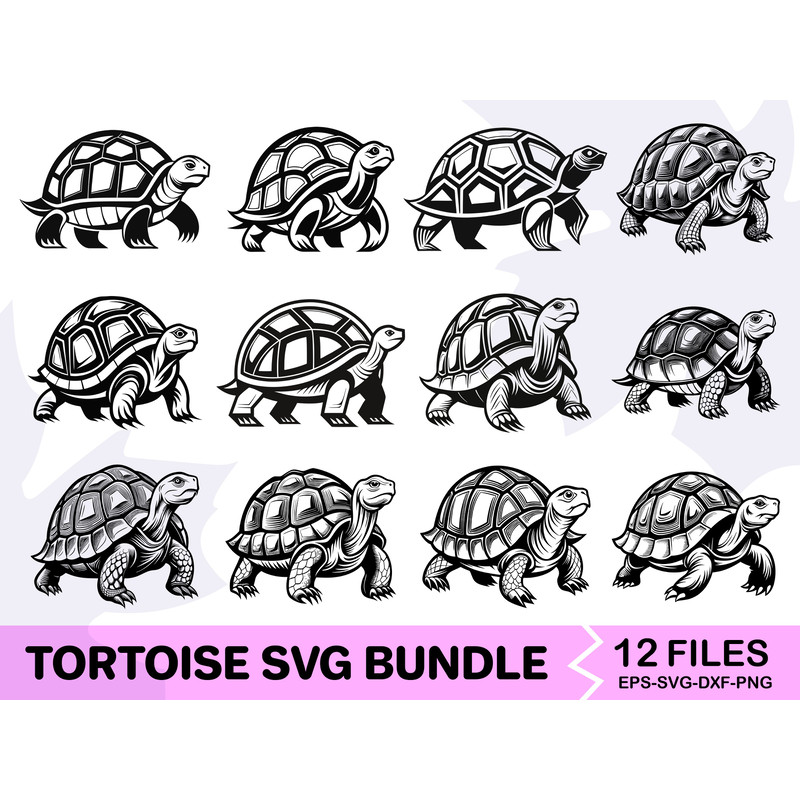 Tortoise SVG Bundle 0