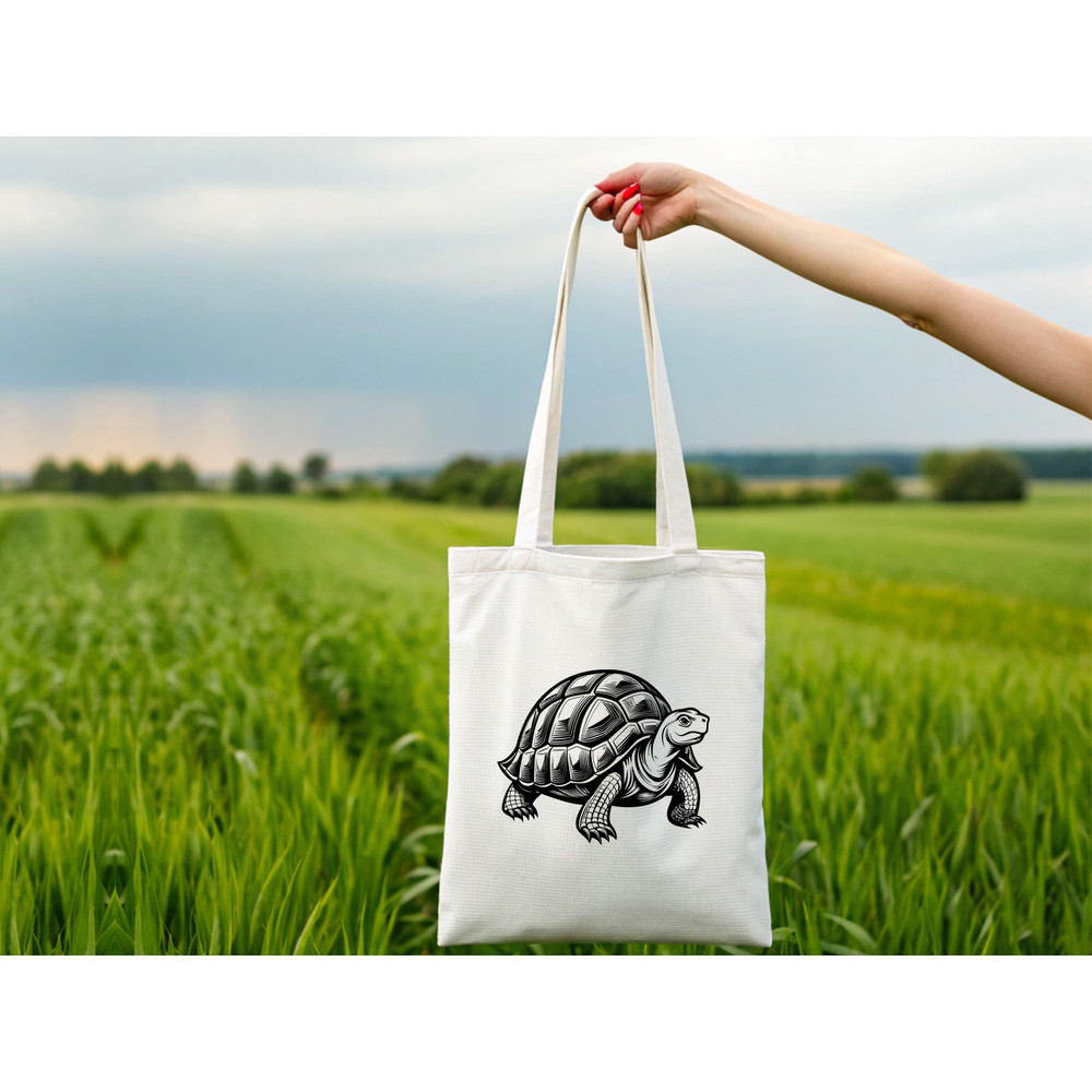 Tortoise SVG Bundle 1