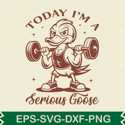 today i'm a serious goose