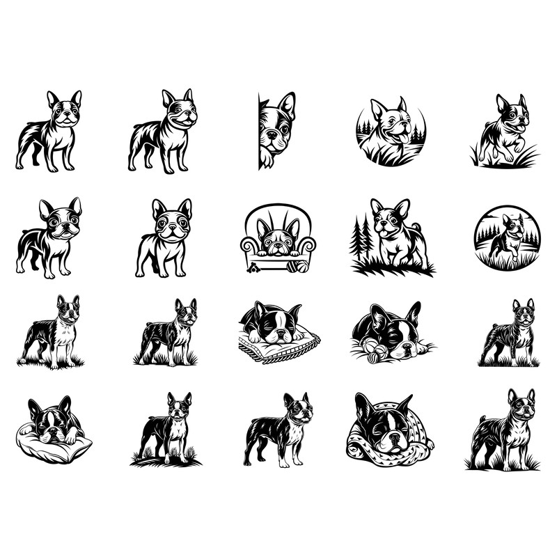 Boston Terrier Svg Bundle 1