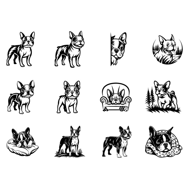 Boston Terrier Svg Bundle 2