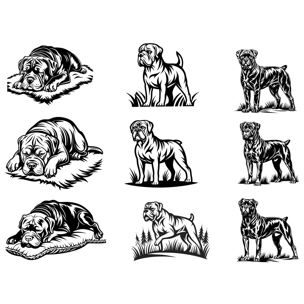 Cane Corso Svg Bundle 1