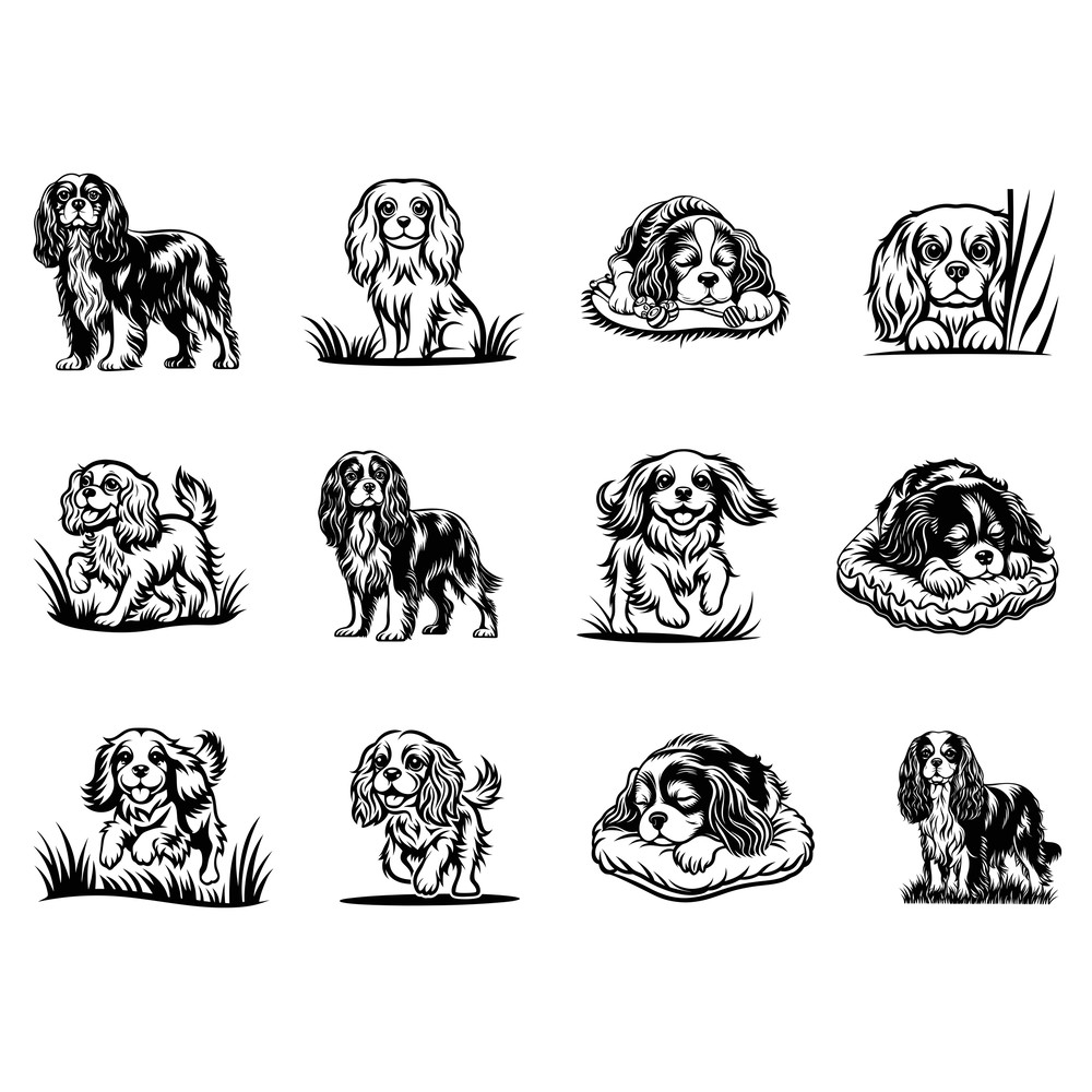 Cavalier King Charles Spaniel Svg Bundle 1 1