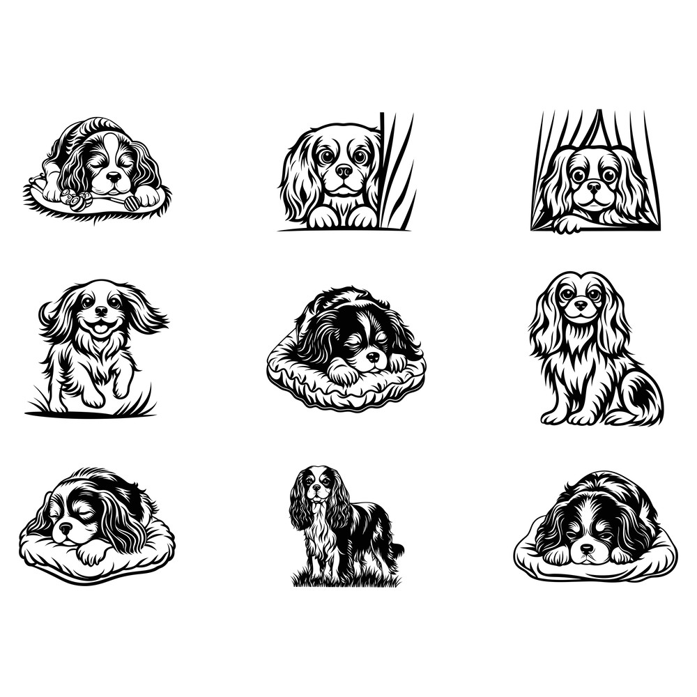 Cavalier King Charles Spaniel Svg Bundle 1 2
