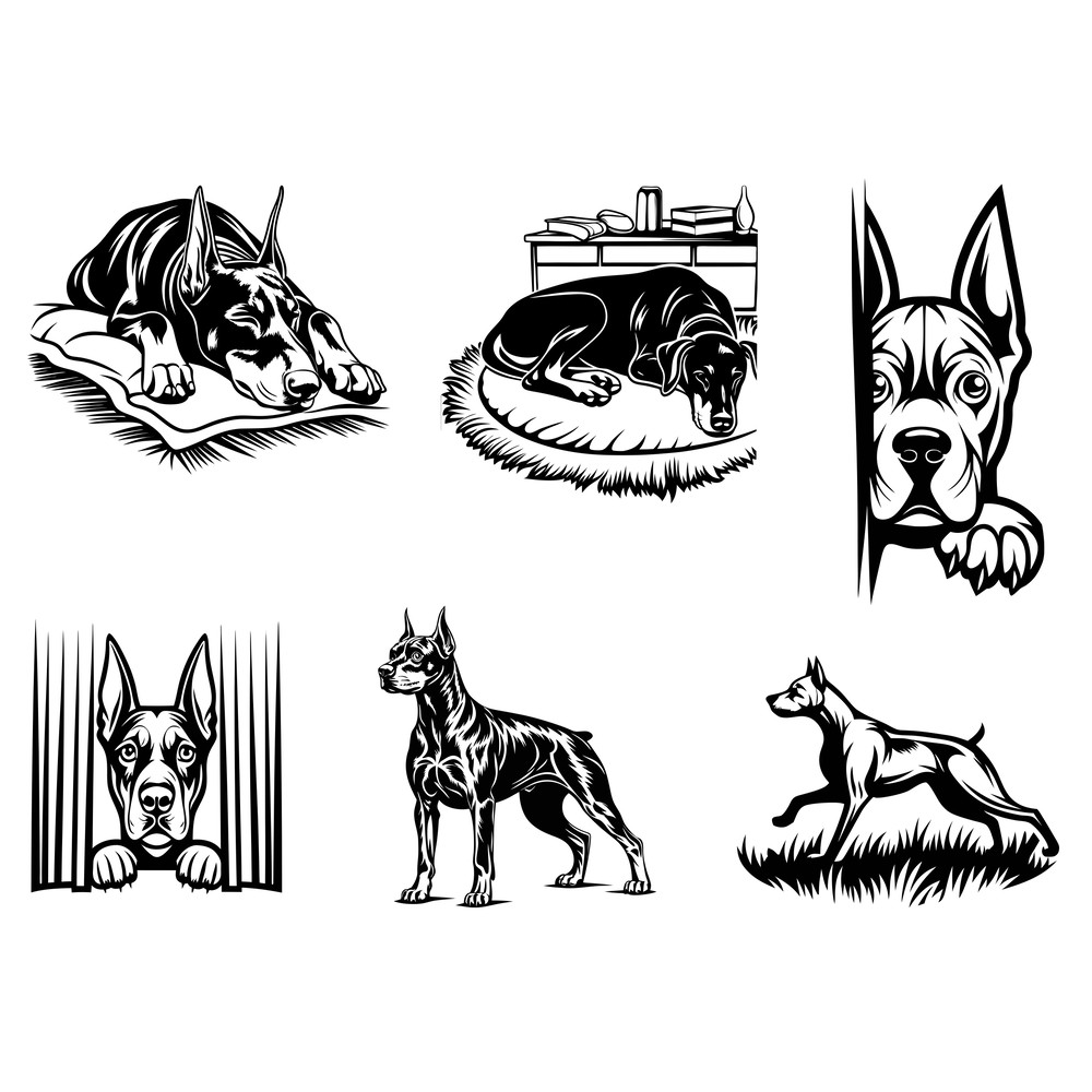 Doberman Pinscher Svg Bundle 2