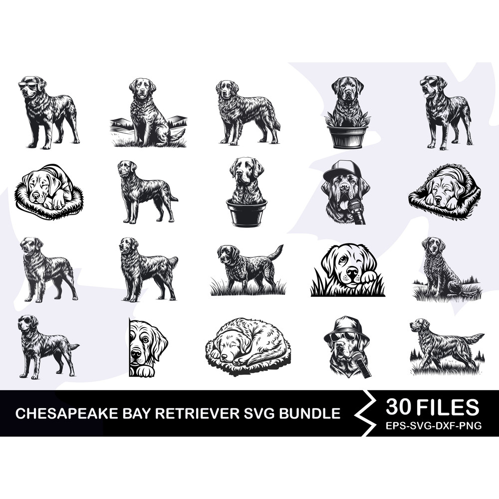 Chesapeake Bay Retriever Svg Bundle 0