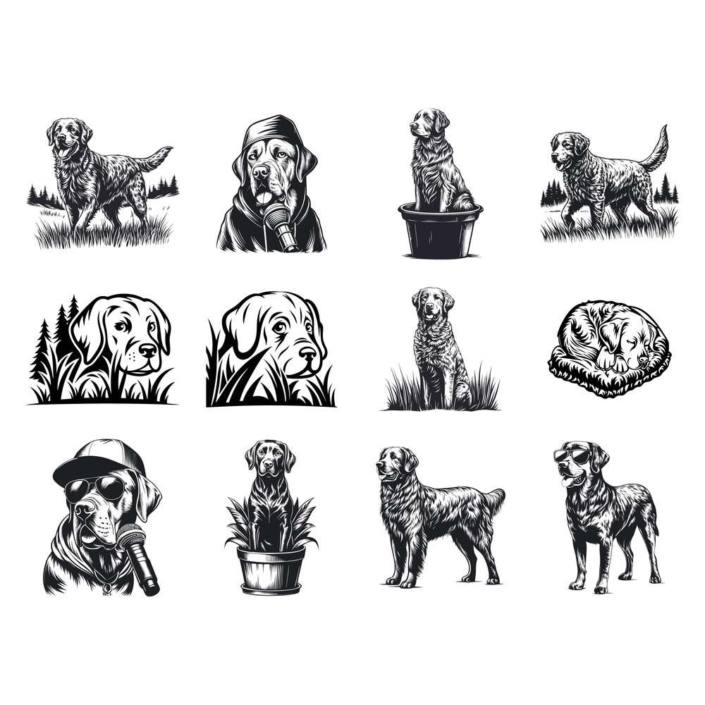 Chesapeake Bay Retriever Svg Bundle 1