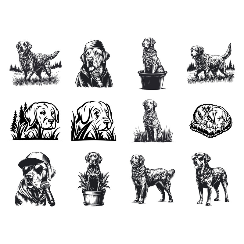 Chesapeake Bay Retriever Svg Bundle 1