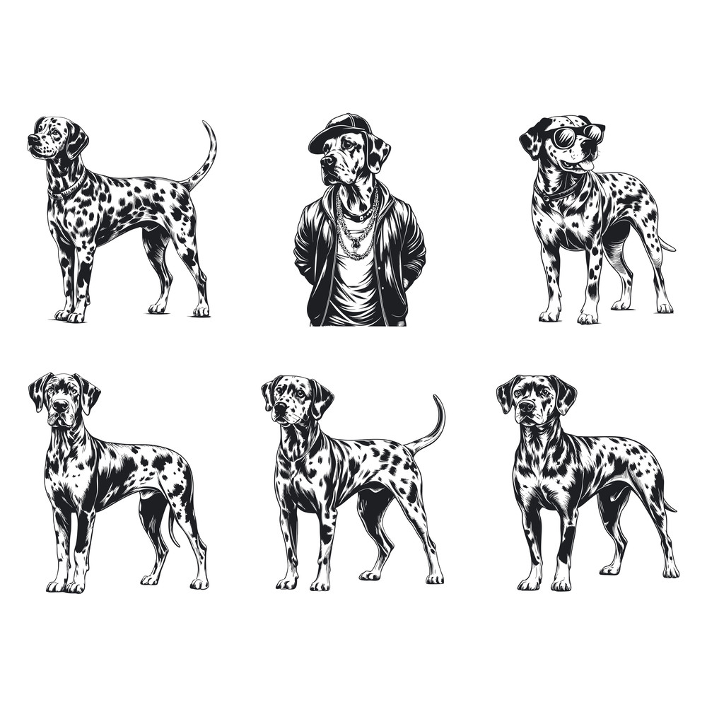 Dalmatian Dog Svg Bundle 2