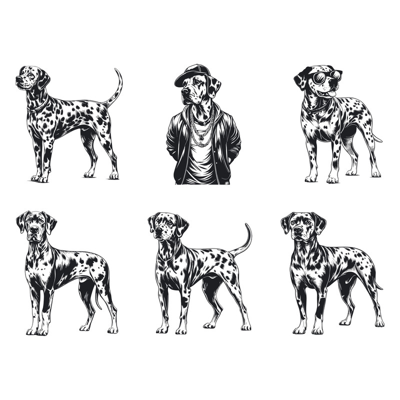 Dalmatian Dog Svg Bundle 2