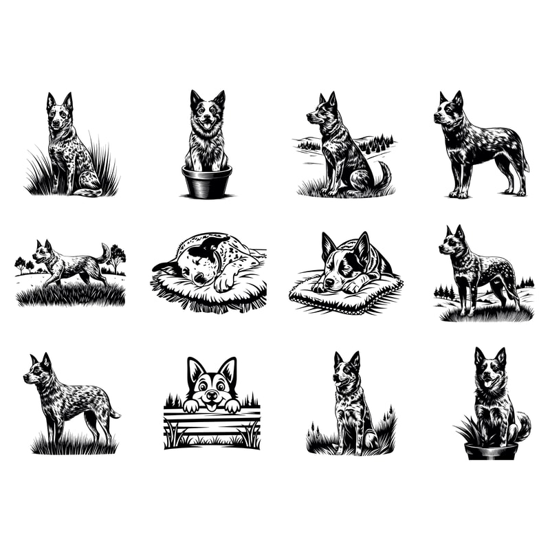 Australian Cattle Dog Svg Bundle 1