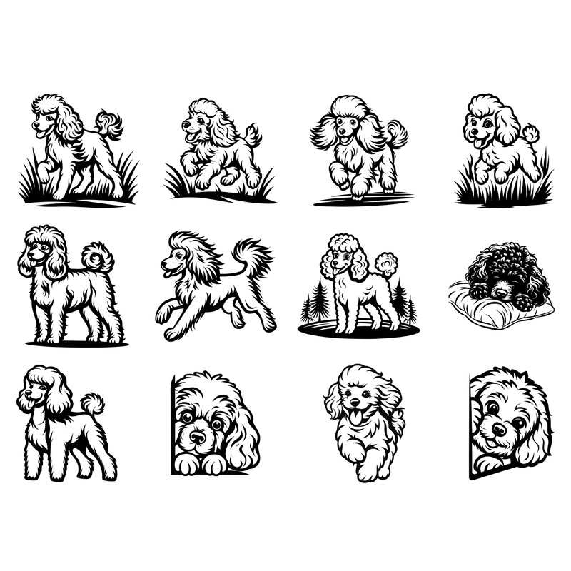 Poodle Svg Bundle 1