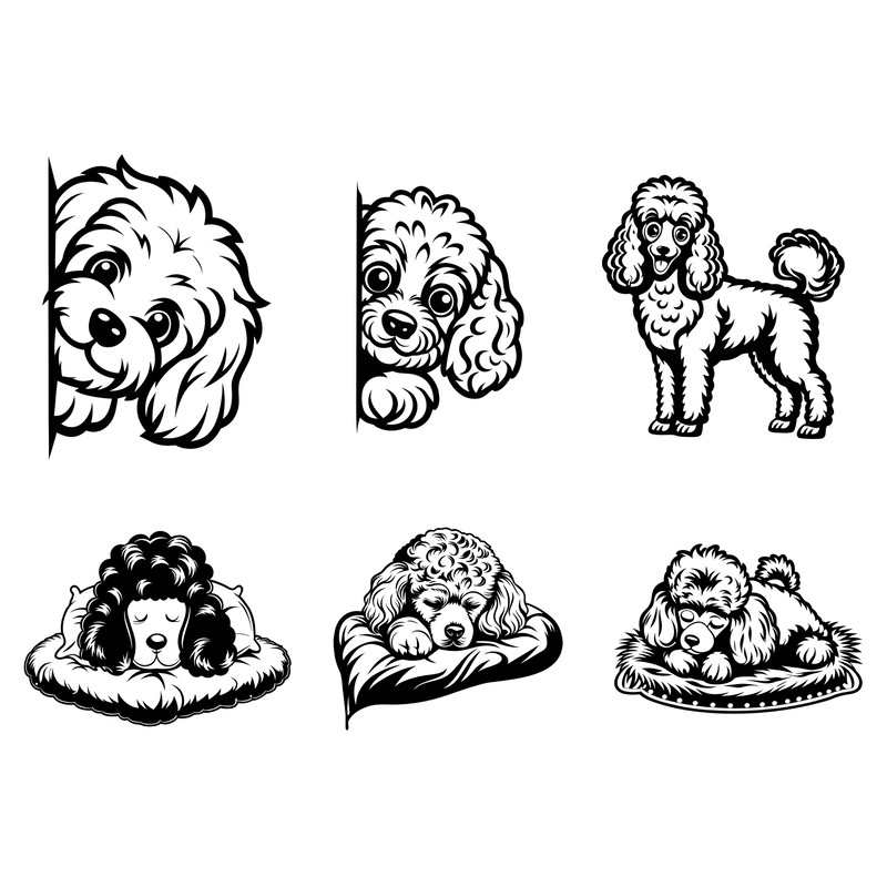 Poodle Svg Bundle 2