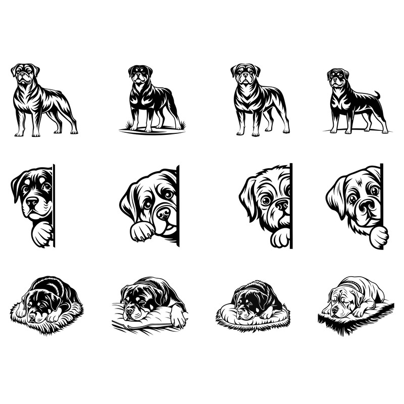 Rottweiler Svg Bundle 1