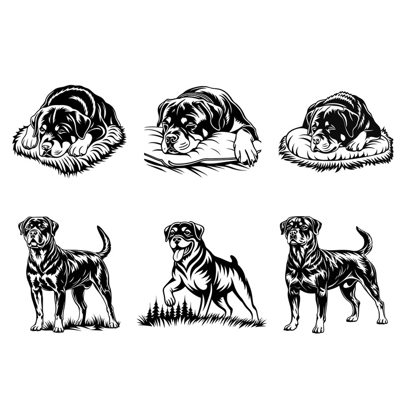 Rottweiler Svg Bundle 2