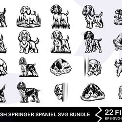 english springer spaniel svg bundle