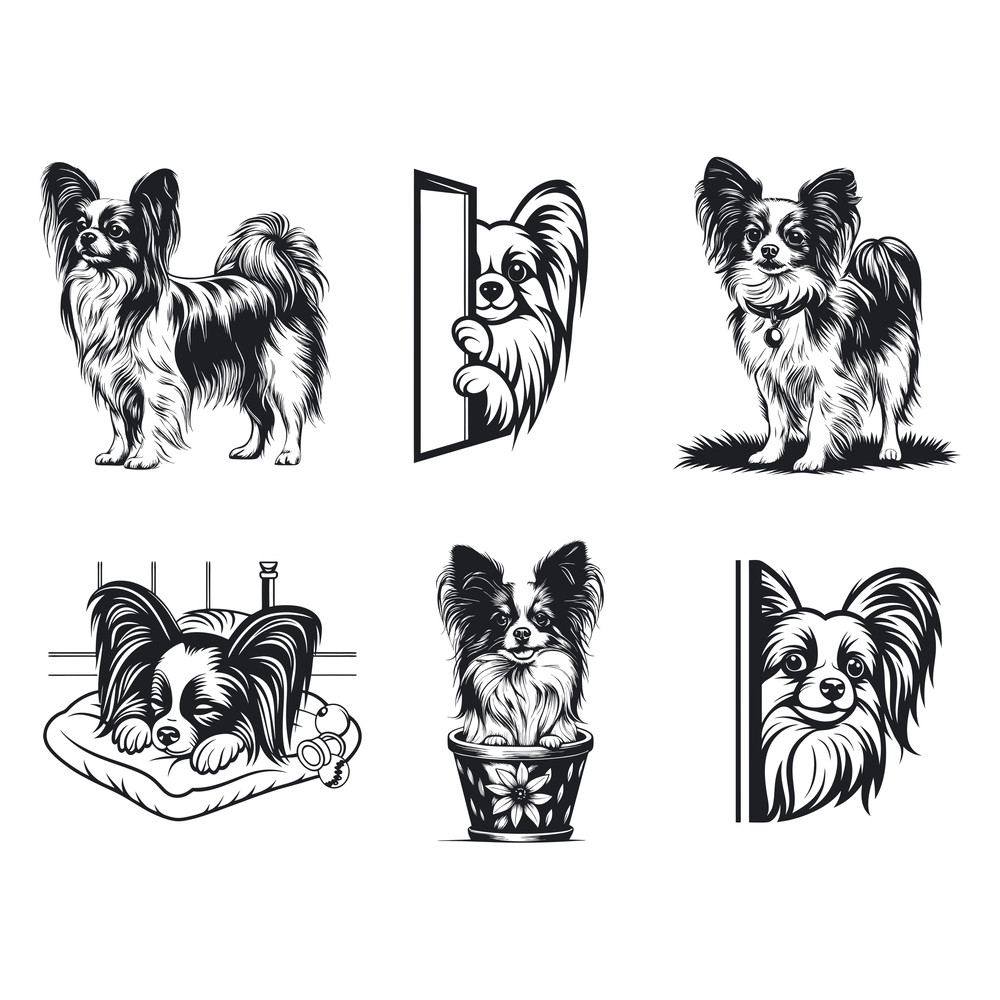 Papillon Dog Svg Bundle 2
