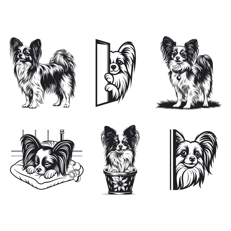 Papillon Dog Svg Bundle 2