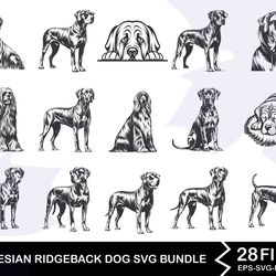 rhodesian ridgeback dog svg bundle
