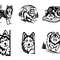 Siberian Husky Dog Svg Bundle 2
