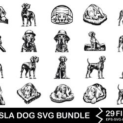 vizsla dog svg bundle