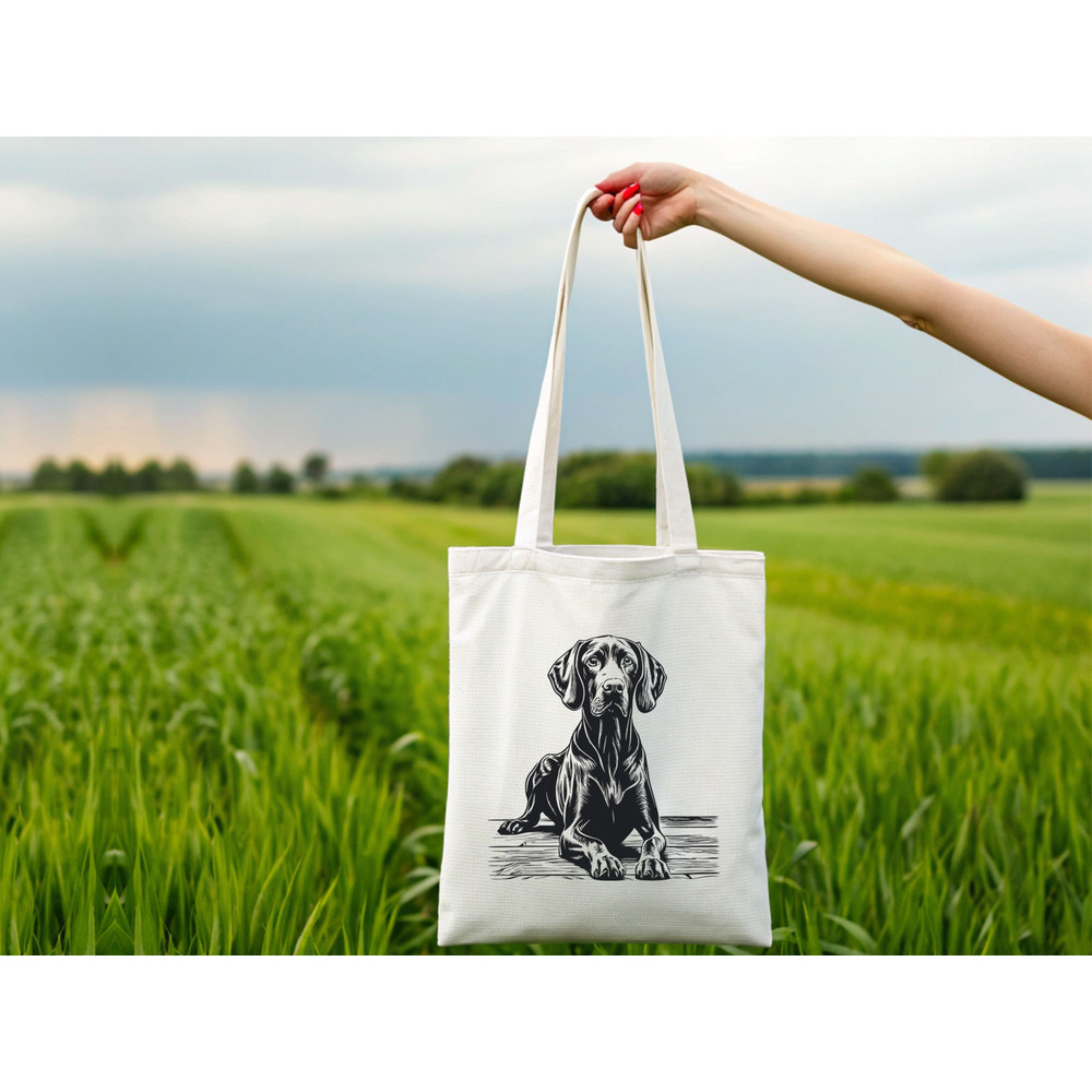 Weimaraner Dog Svg Bundle 1