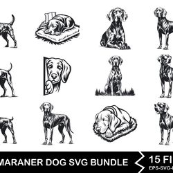 weimaraner dog svg bundle 1