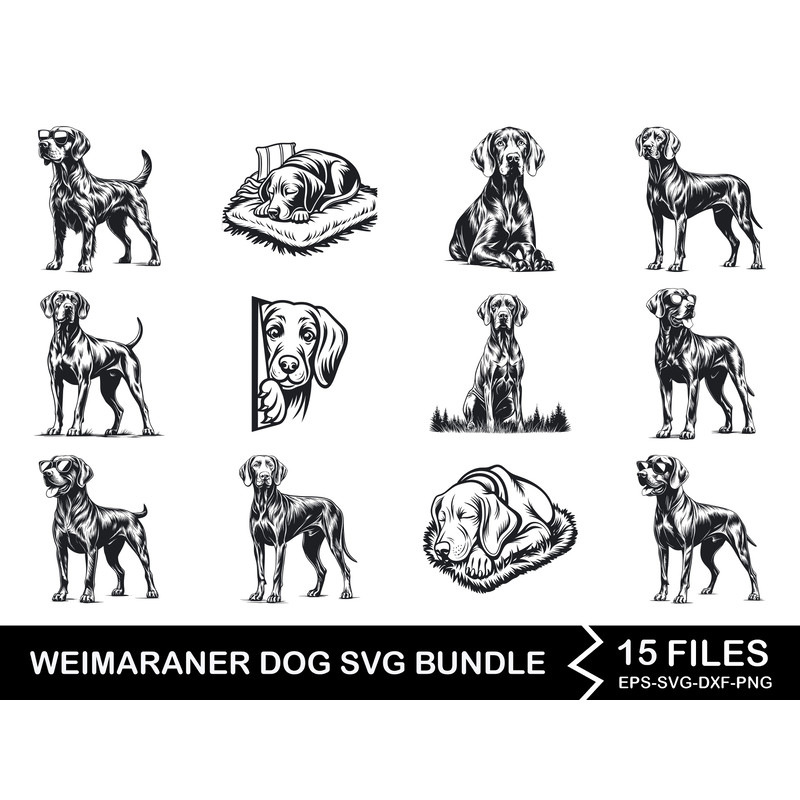 Weimaraner Dog Svg Bundle 1 0