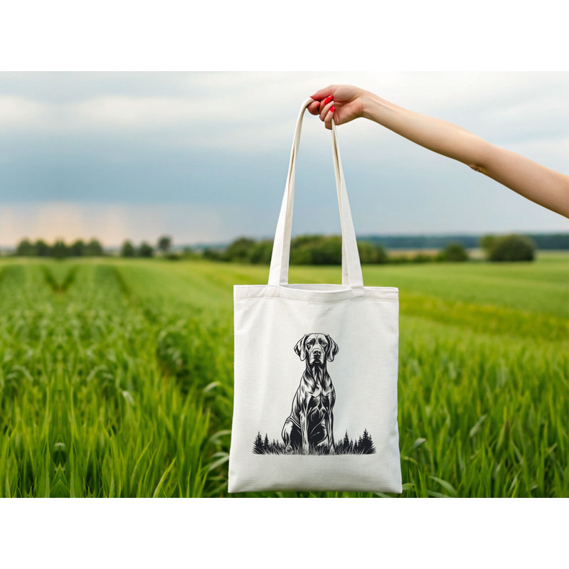 Weimaraner Dog Svg Bundle 1 1