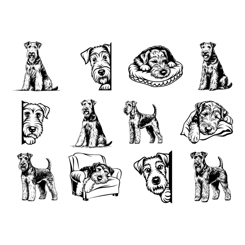Airedale Terrier Dog Svg Bundle 1
