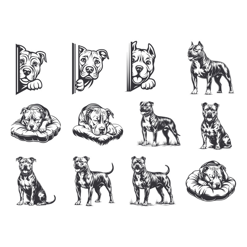 American Staffordshire Terrier Dog Svg Bundle 1