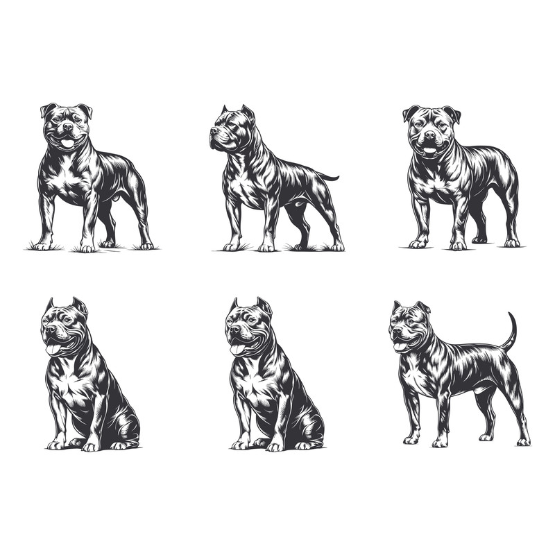 American Staffordshire Terrier Dog Svg Bundle 2