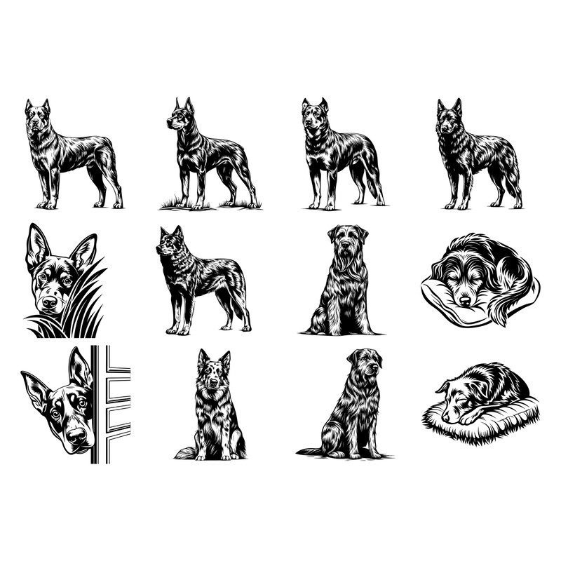 Beauceron Dog Svg Bundle 1