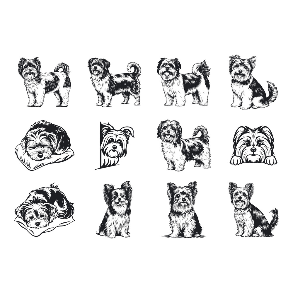 Biewer Terrier Dog Svg Bundle 1