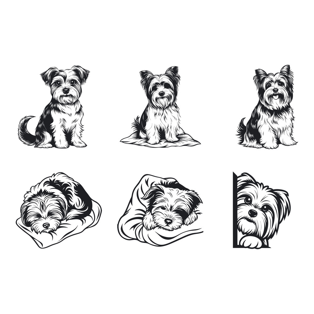 Biewer Terrier Dog Svg Bundle 2