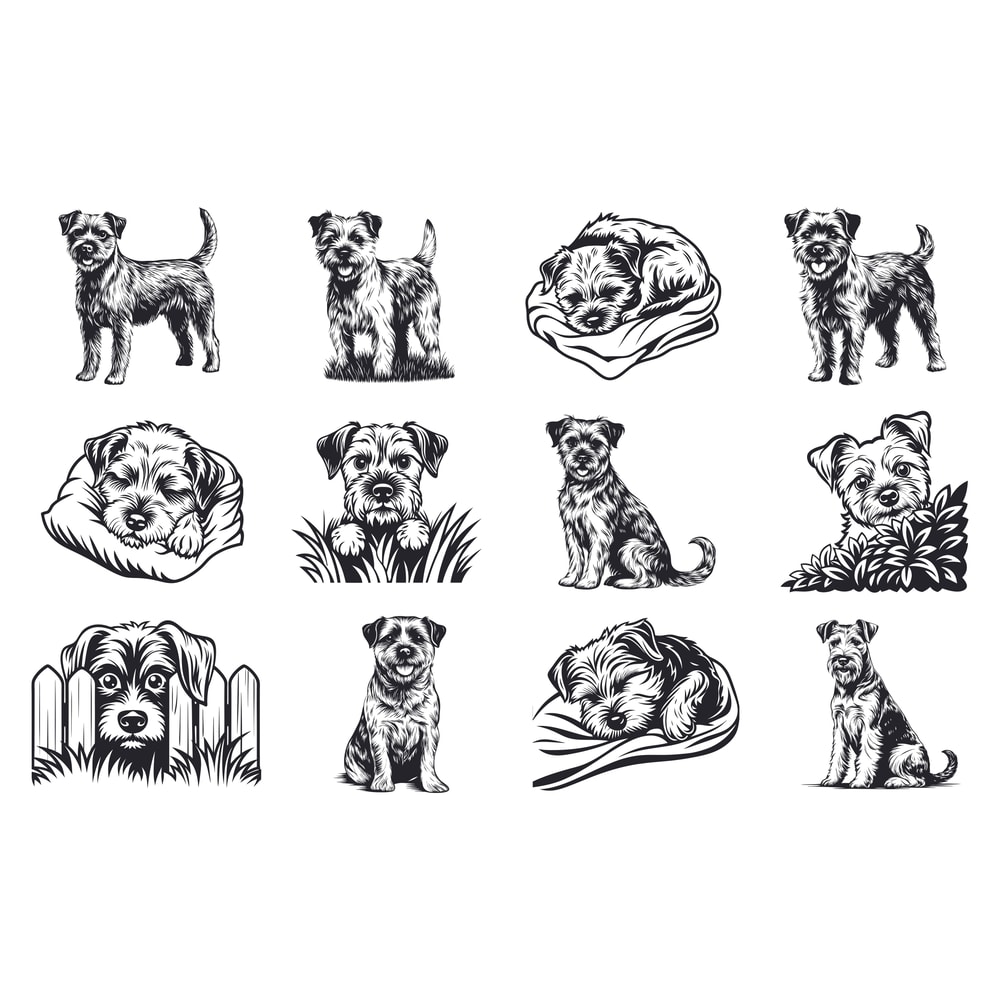 Border Terrier Dog Svg Bundle 1