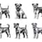 Border Terrier Dog Svg Bundle 2